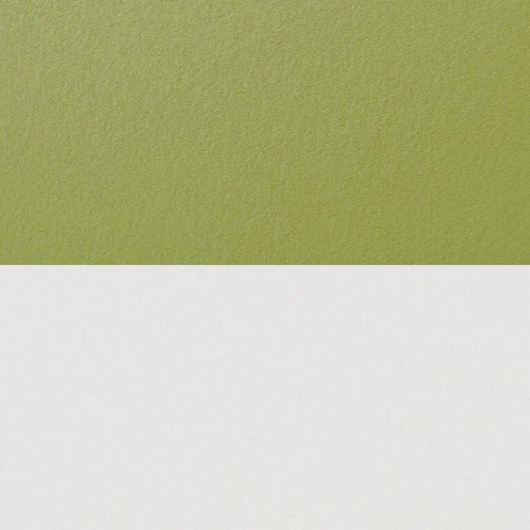 kiwi green white